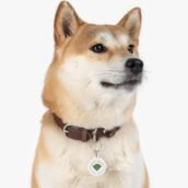 12388229405736003407_2048.jpeg
